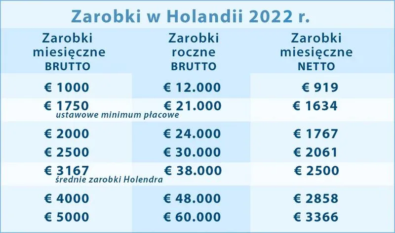 Jak skutecznie obliczyć zarobki netto w Holandii?