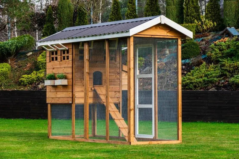 Kiedy praca staje się kurnikiem: co można nauczyć się z kubka w dłoni?