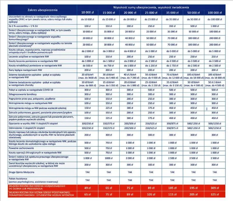 Najlepsze wybory: jakie ubezpieczenie szkolne zapewni bezpieczeństwo Twojemu dziecku?