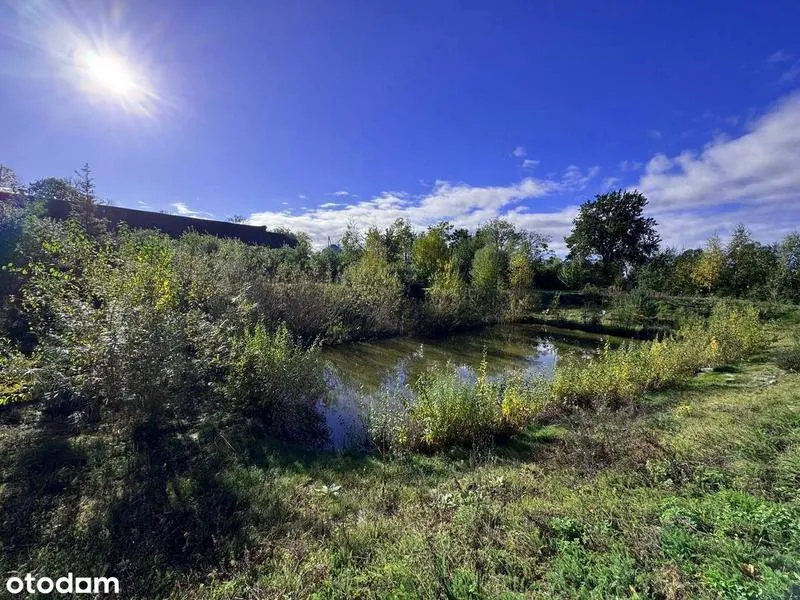 Banki w Fort Collins