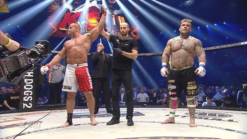 Kwoty zarobione w MMA