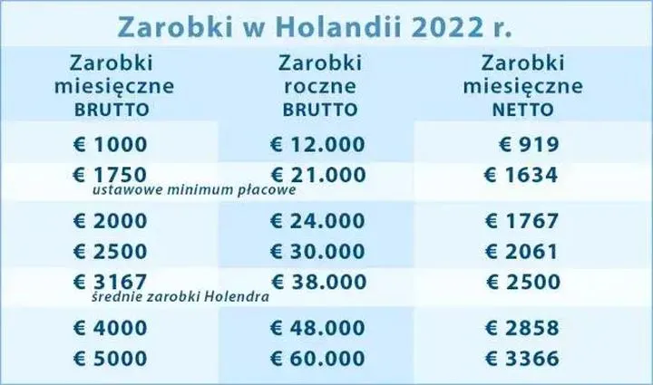 Podatki i składki w Holandii