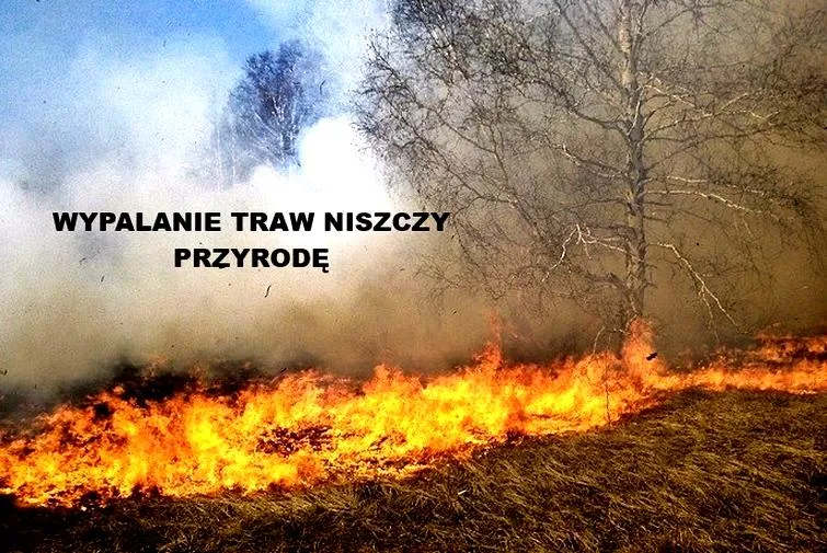 Psychologia przestępstwa