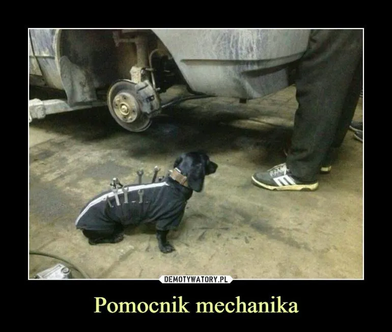 Rynek pracy dla mechaników