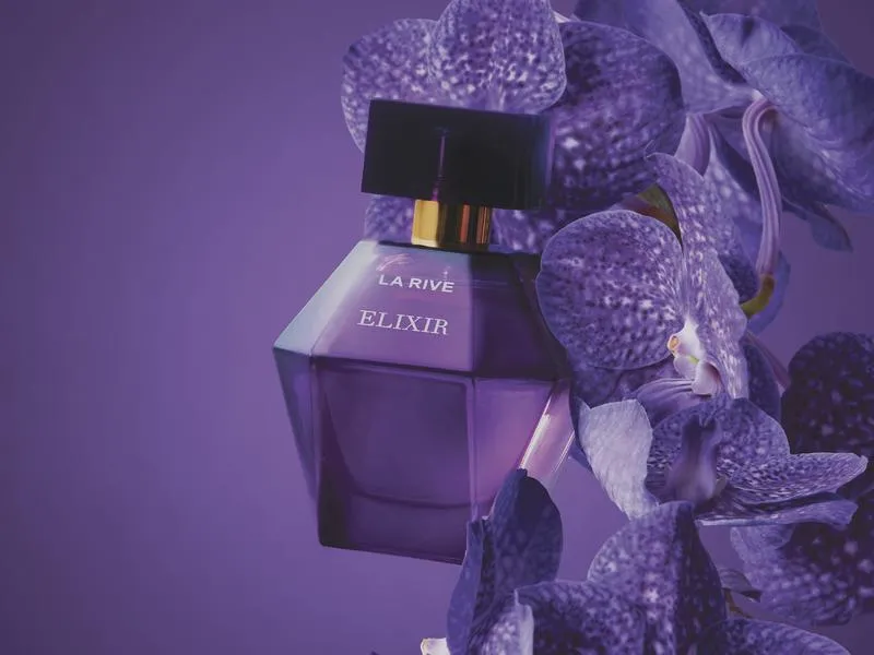 Szybkie przelewy Express Elixir