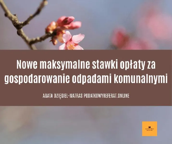 Ustalanie świadczeń społecznych