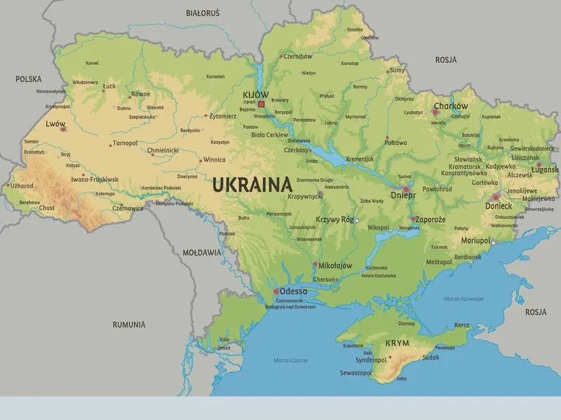 ZUS weryfikacja uprawnień